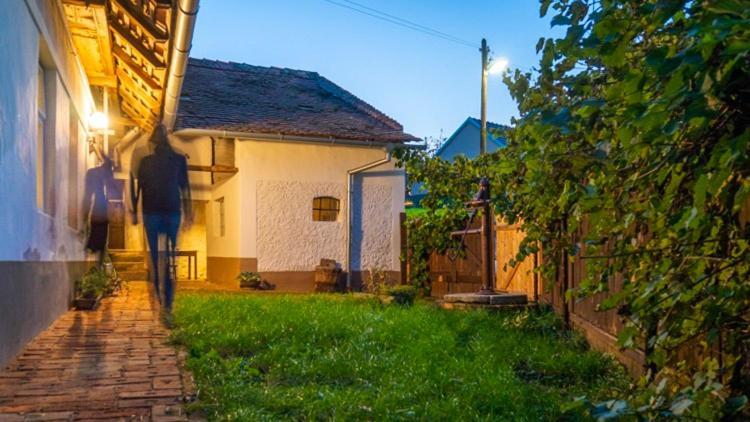 Cejkovicky Domek Cejkovice  Exterior photo